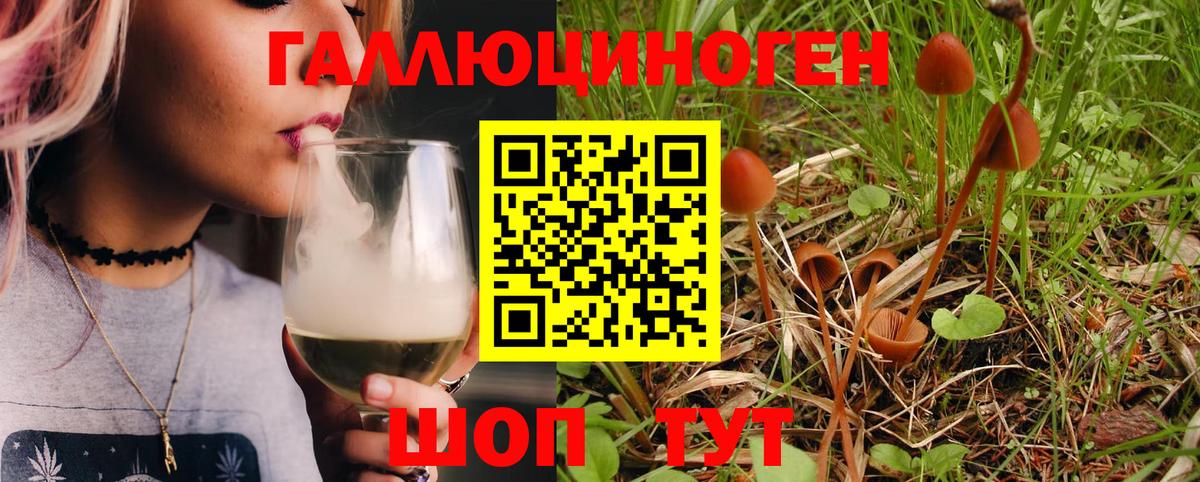 Галлюциногенные грибы Cubensis  Вход с VPN  Бор  Псилоцибиновые грибы MAGIC MUSHROOMS 